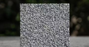 德阳 芝麻黑荔枝面