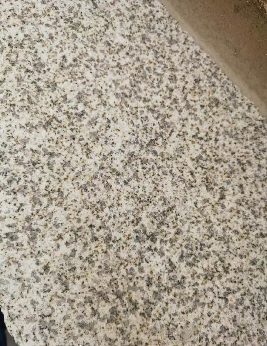 德阳 黄金麻中黄光面