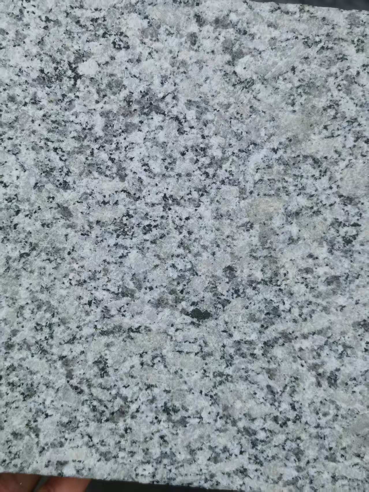 德阳 芙蓉白火烧面
