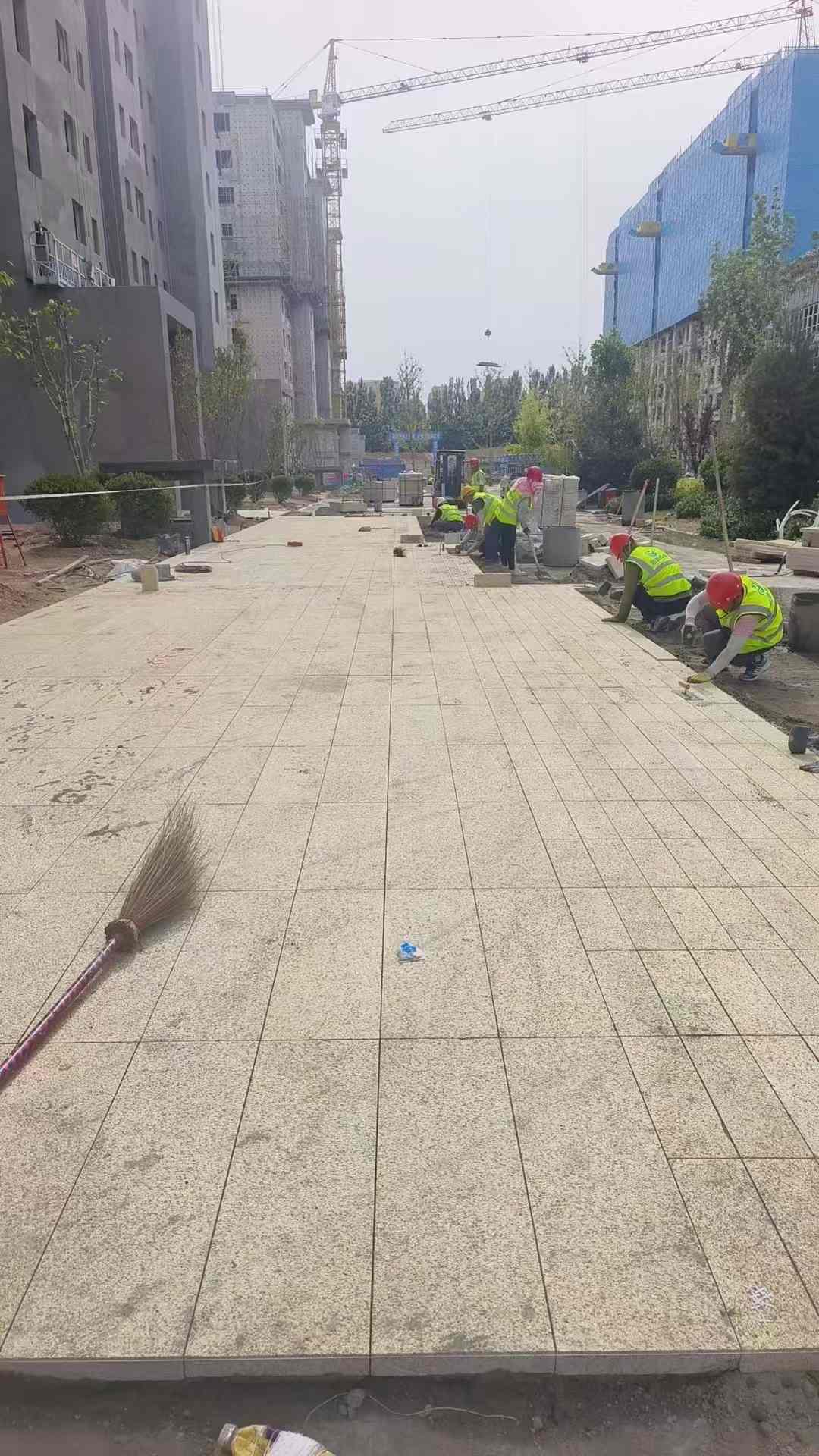 德阳黄金麻荔枝面地铺案例